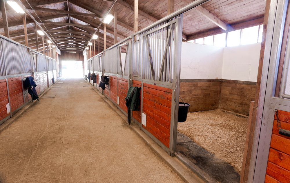 The Best & Worst Types of Wood Shavings for Horse Bedding GI Shavings LLC